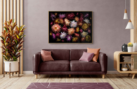 Landscape format dark botanical print of multi-coloured heritage Chrysanthemums photographed on a black background hung above a sofa