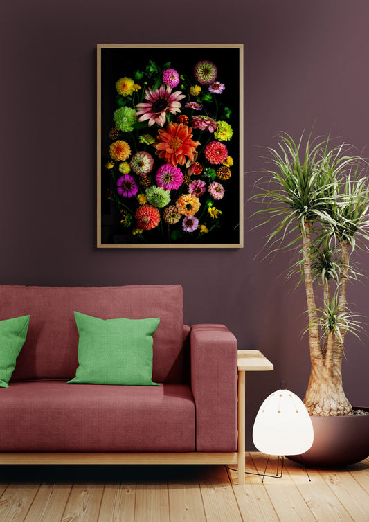 Colorful flower arrangement of Zinnia, Sunflower and Dahlias on a black background, framed and hanging on a wall behind a sofa