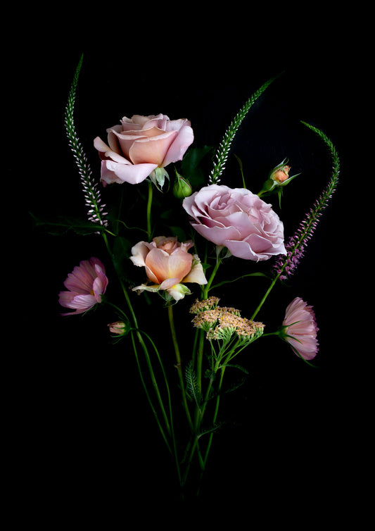 A posy of Koko Loco roses, Achillea, Cosmos and Veronica photographed on a black background.