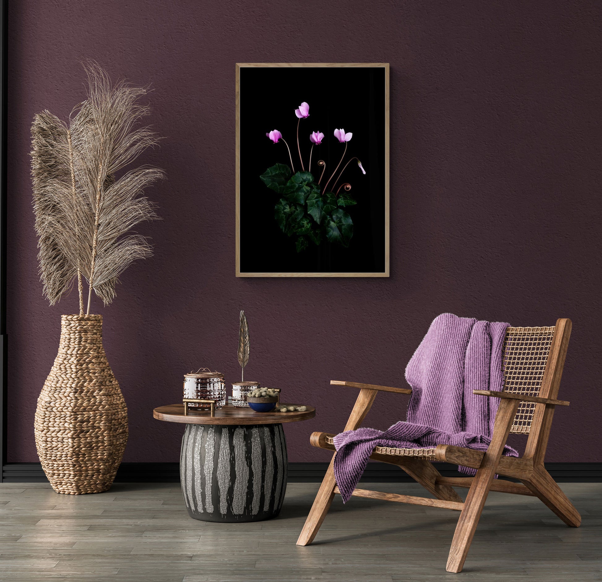 A botanical prrint of an intimate study of the autumn flowering Cyclamen hederifolium, featuring it's dainty pink flowers and marbled foliage, photographed on a black background on a plum cpoloured wall.