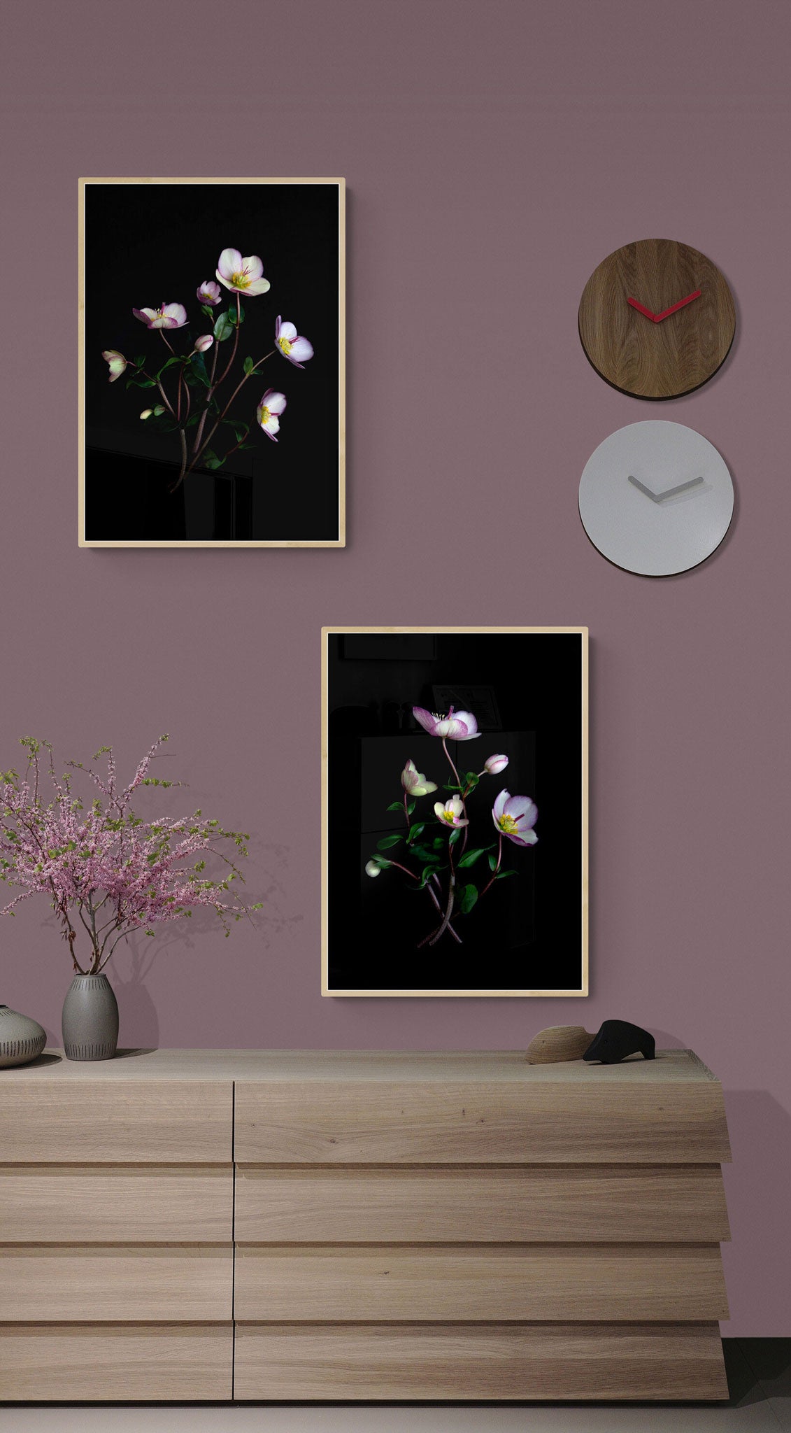 Botanical prints of Hellebous 'Picotee' I and II photographed on a dark background, hanging on a pink wall.