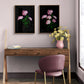 Framed dark botanical prints of Hydrangea 'Pink Annabelle' photographed on a black background and hung on a pink wall.