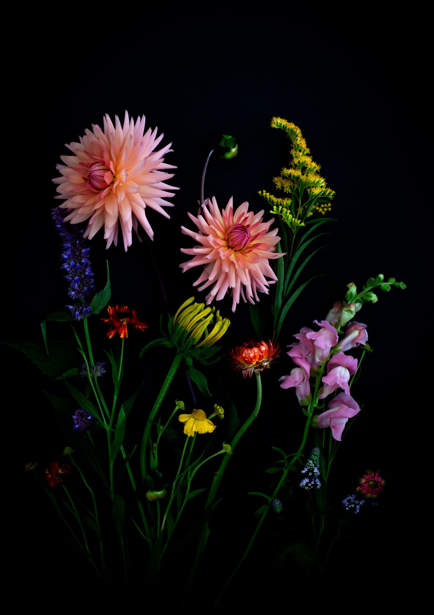 SUMMER YELLOWS Open Edition Botanical Print