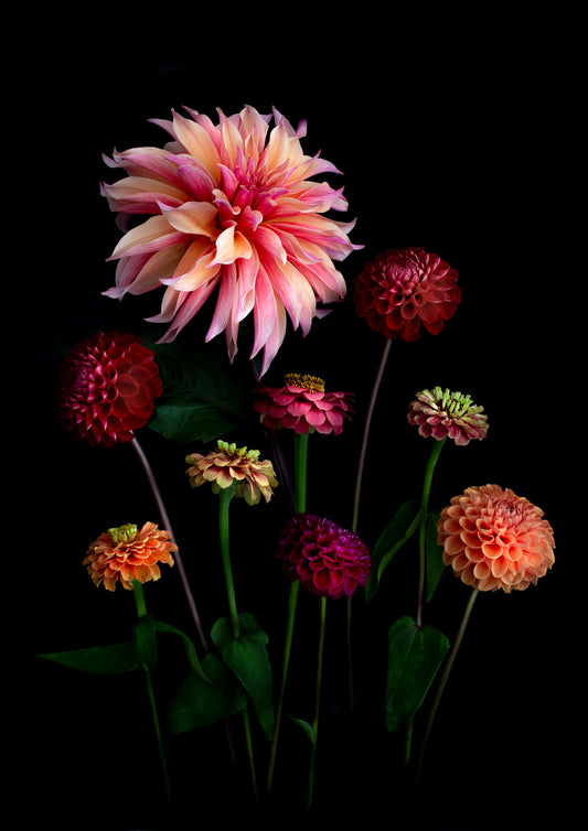 LABYRINTH Open Edition Botanical Print