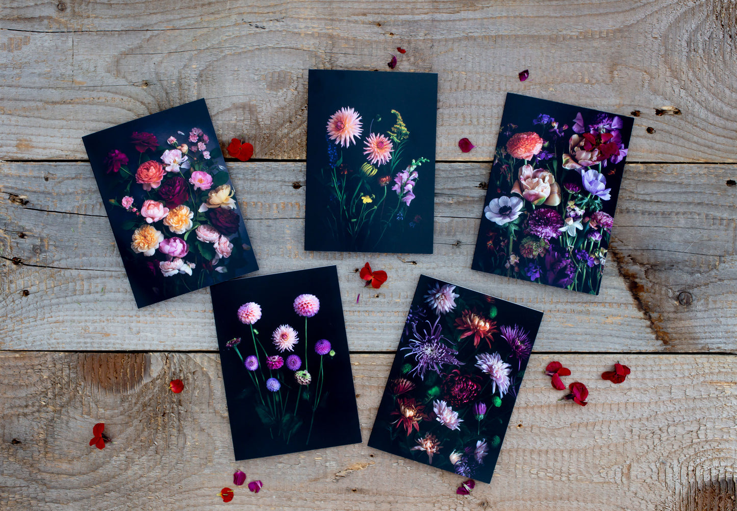 A set of five botanical greeting cards of florals on a black background