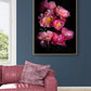 Dark botanical photographic print, A0 sizw framed, featuring Paeonia 'Coral Sunset' on a black background.