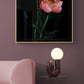 Peony ' Coral Charm'  photographed on a black background, framed on a pink wall.