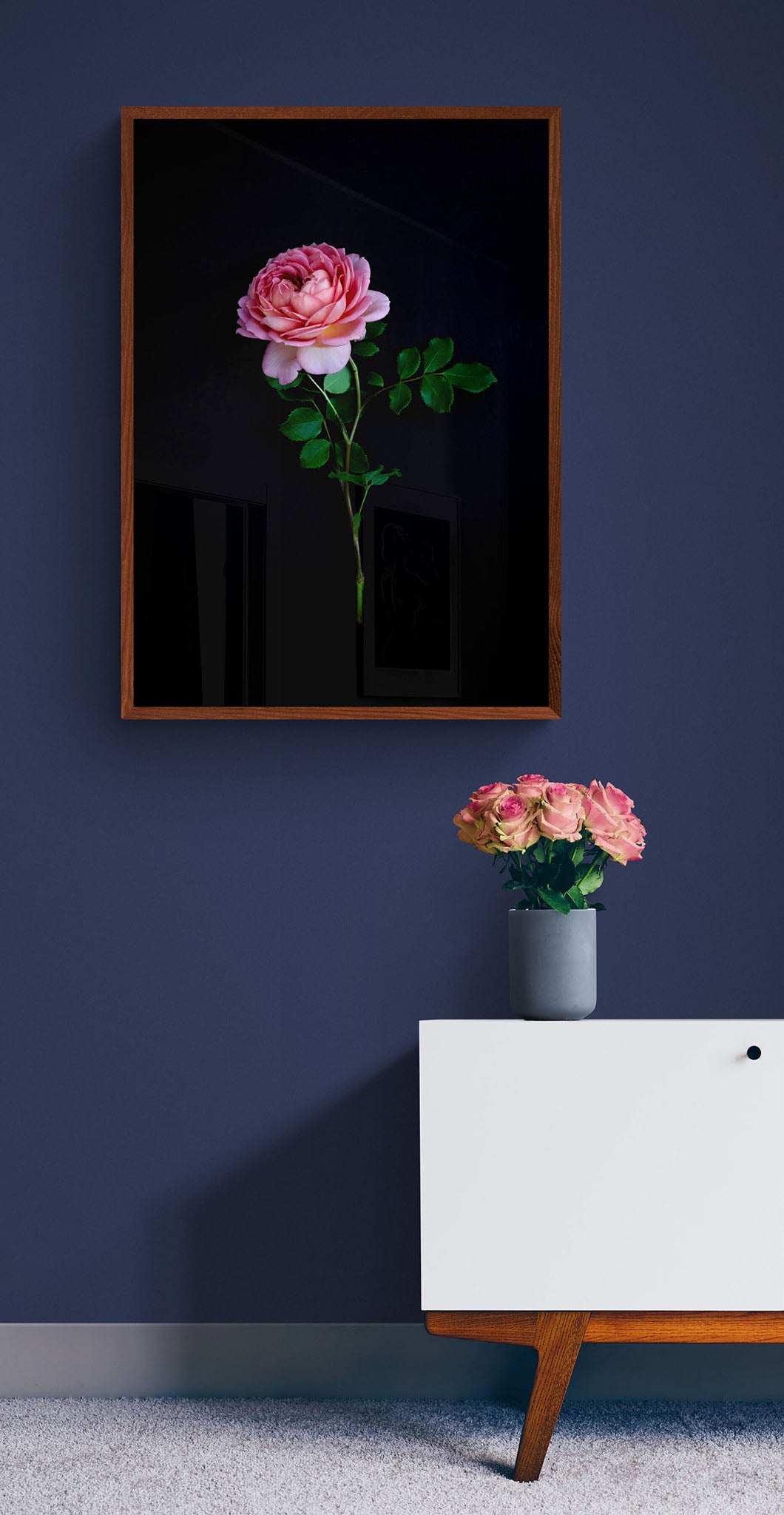Dark botanical print, featuring a single, salmon -coloured Rose on a black background, frame, on a blue wall.