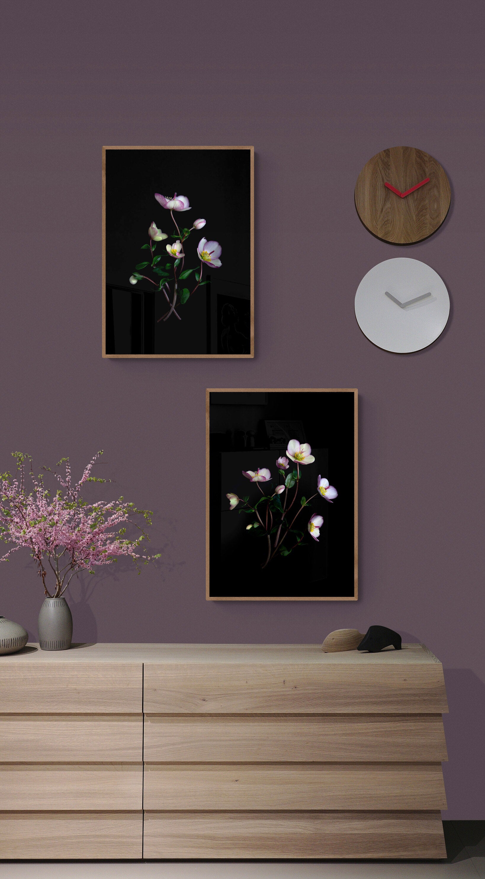 Dark botanical print featuring Helleborus 'Picotee' on a black background, framed with similar, created by UK Art photographer,