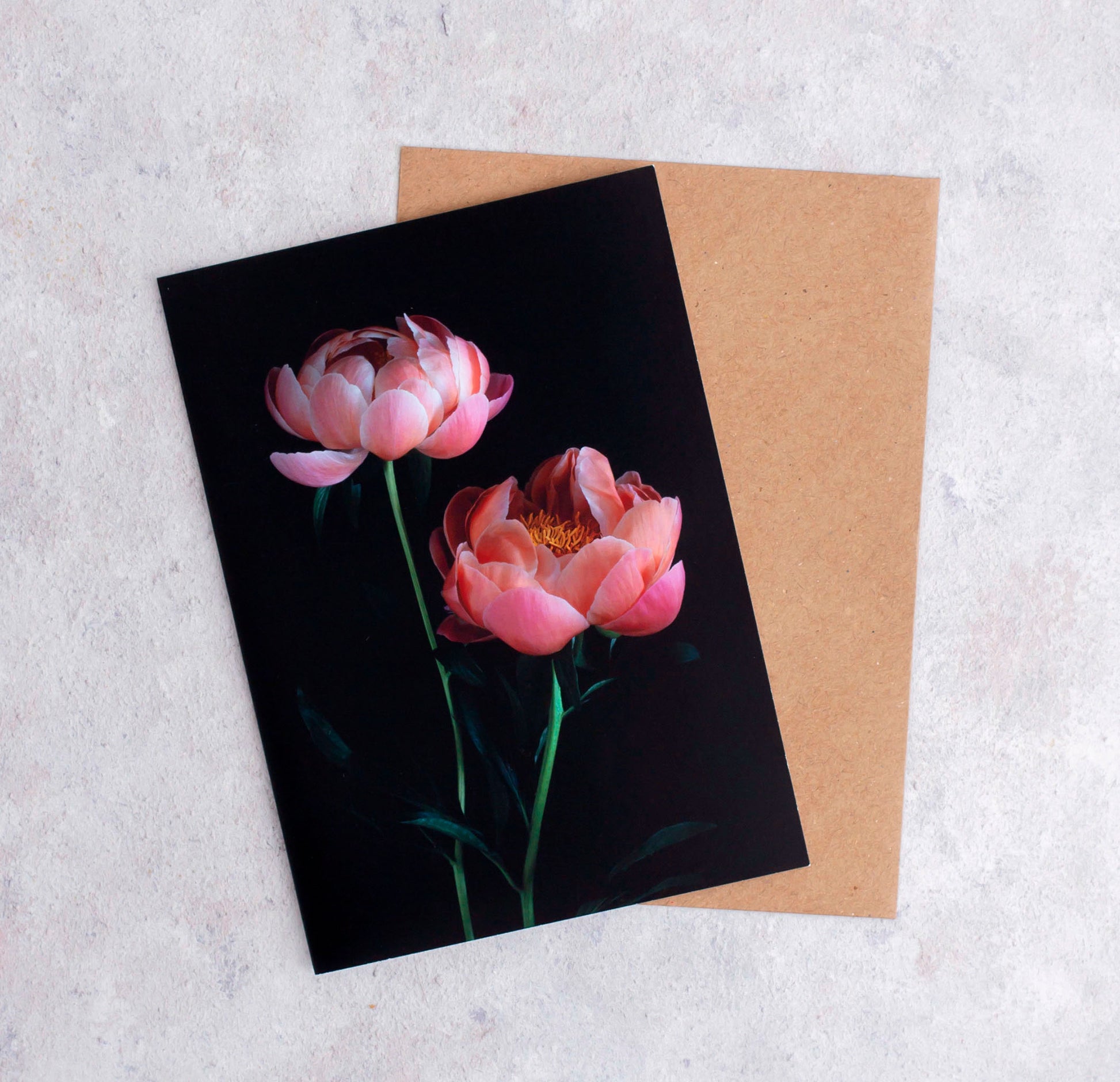 Botanical greeting card with Peony 'Coral Charm' on a black background