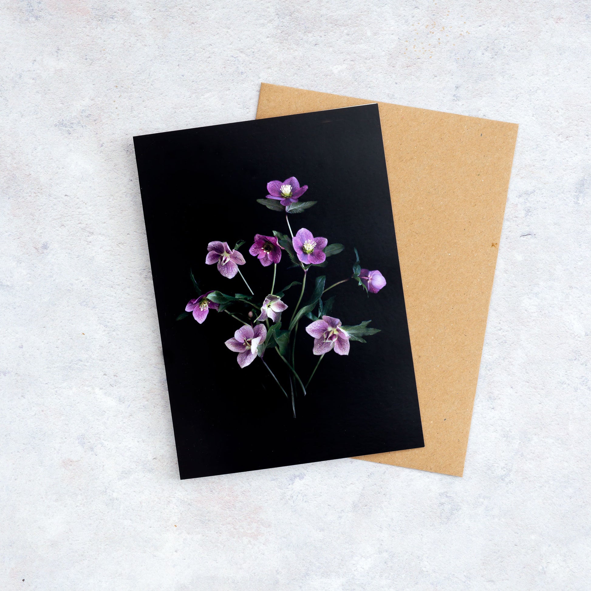 Botanical greeting card with delicate pink Hellebores photographed on a black background.