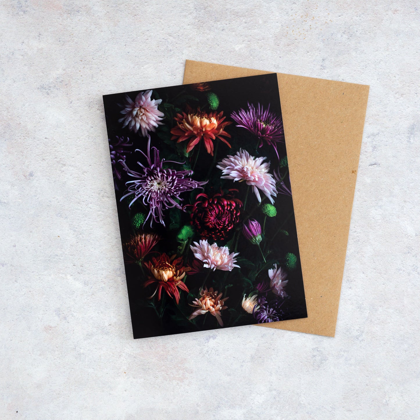 Botanical greeting card with mixed color Chrysanthemums on a dark background.