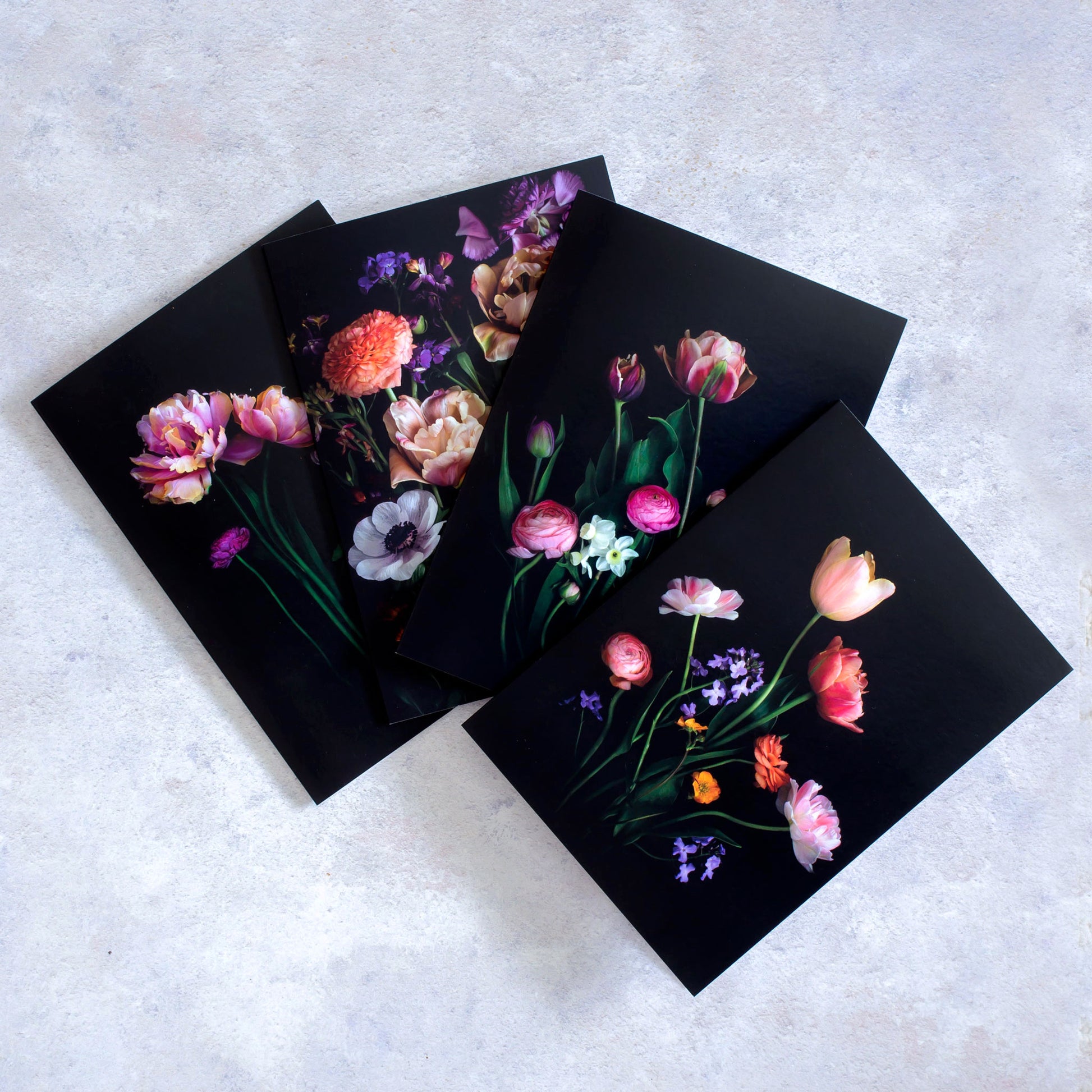 Stationery Cards  Tulip Blanche Collection