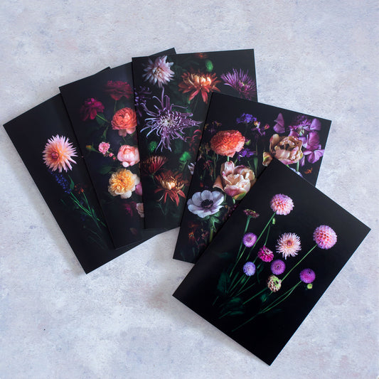 A set of five botanical greeting cards of florals on a black background