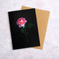 Botanical greeting card with a single salmon coloured Rose on a black background