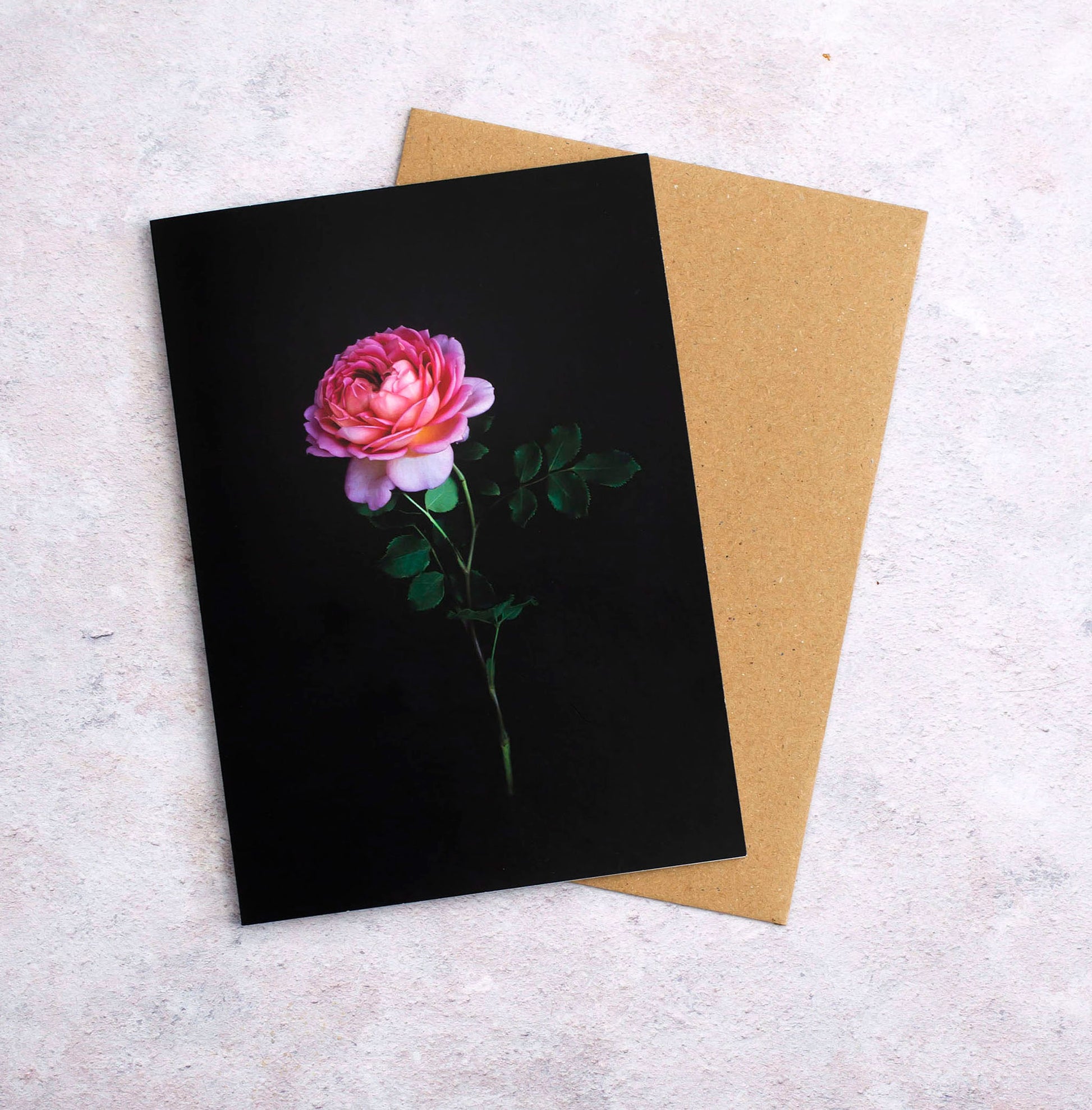 Botanical greeting card with a single salmon coloured Rose on a black background