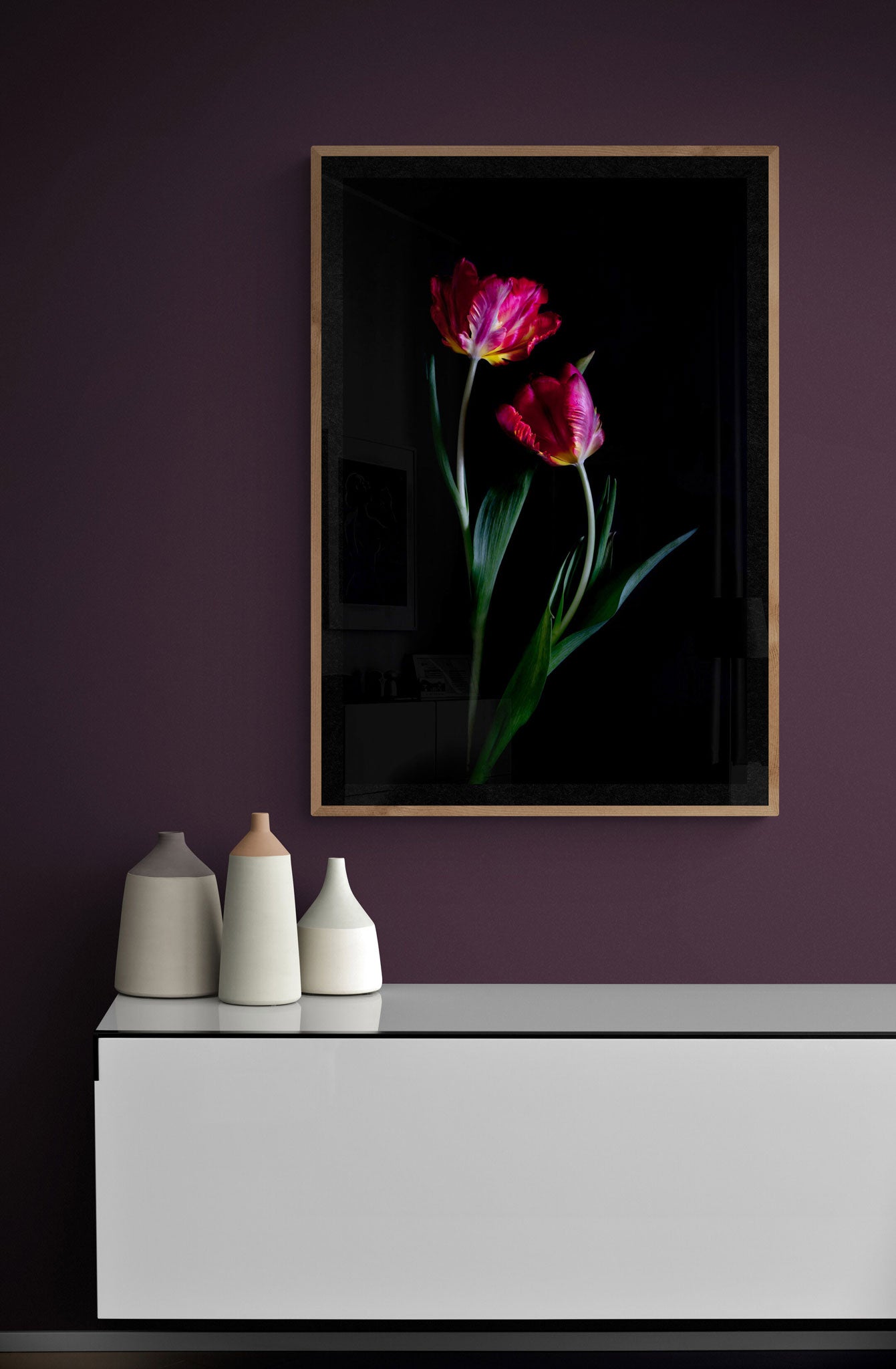 Dark botanical, photographic print, featuring Rococo Tulips on a black background, framed on a dark pink wall. created by UK Art photographer
